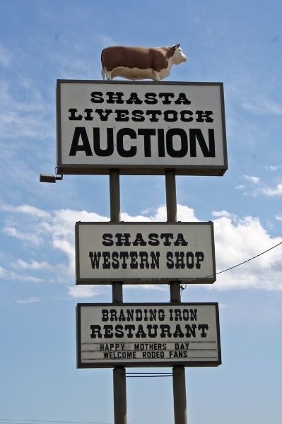 shasta livestock auction yard cottonwood california